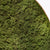 Organisch Schilderij met groen rendeermos - ↑60cm / ø33cm / Eikenhout