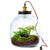HebeXL - met lamp - 4 botanische planten - ↑45cm / ø40cm